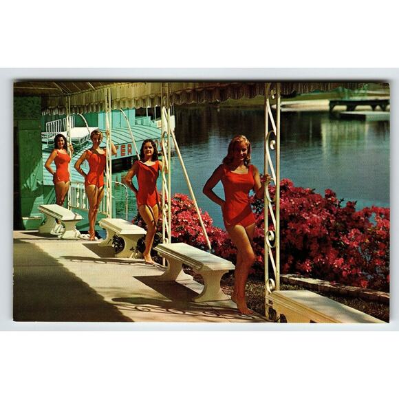 Postcard Weeki Wachee Live Mermaids Show Florida Swimsuit 4 Women Posing Chrome - Picture 1 of 2